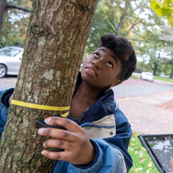 一位环境与可持续发展研究专业的学生正在测量一棵树的周长.
